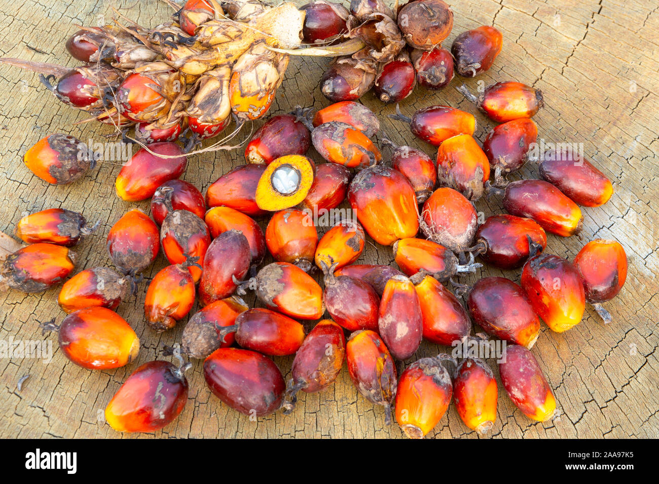Nahaufnahme einer Gruppe von Palmöl-Früchten (Elaeis guineensis) und einer halbierten Frucht, die das Innere auf rustikalem Holztisch zeigt. Konzept der Natur, Landwirtschaft. Stockfoto
