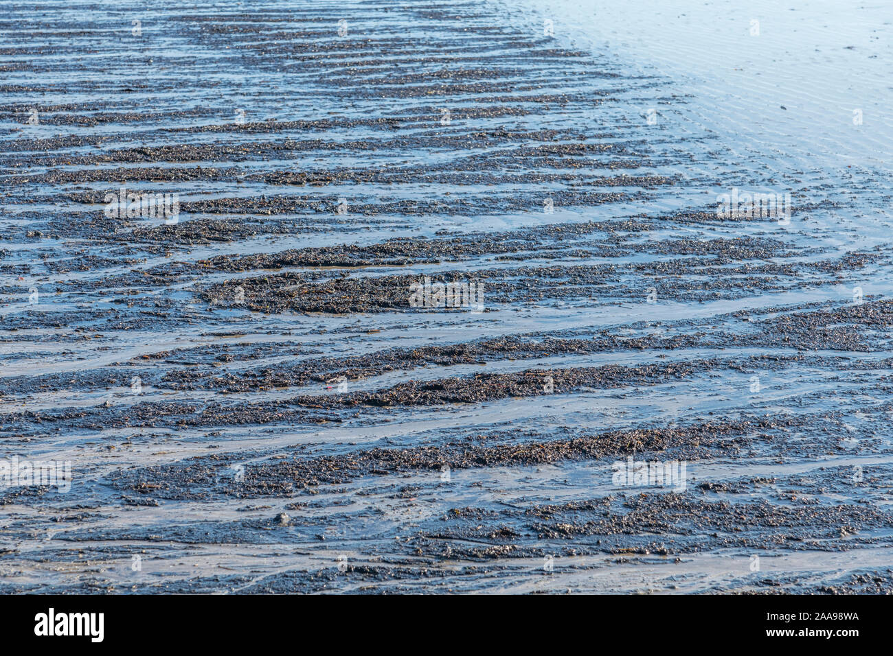 Nasser Ufersand und Kieselsteine, die zurückgelassen wurden, während die Flut zurücktritt. Stockfoto