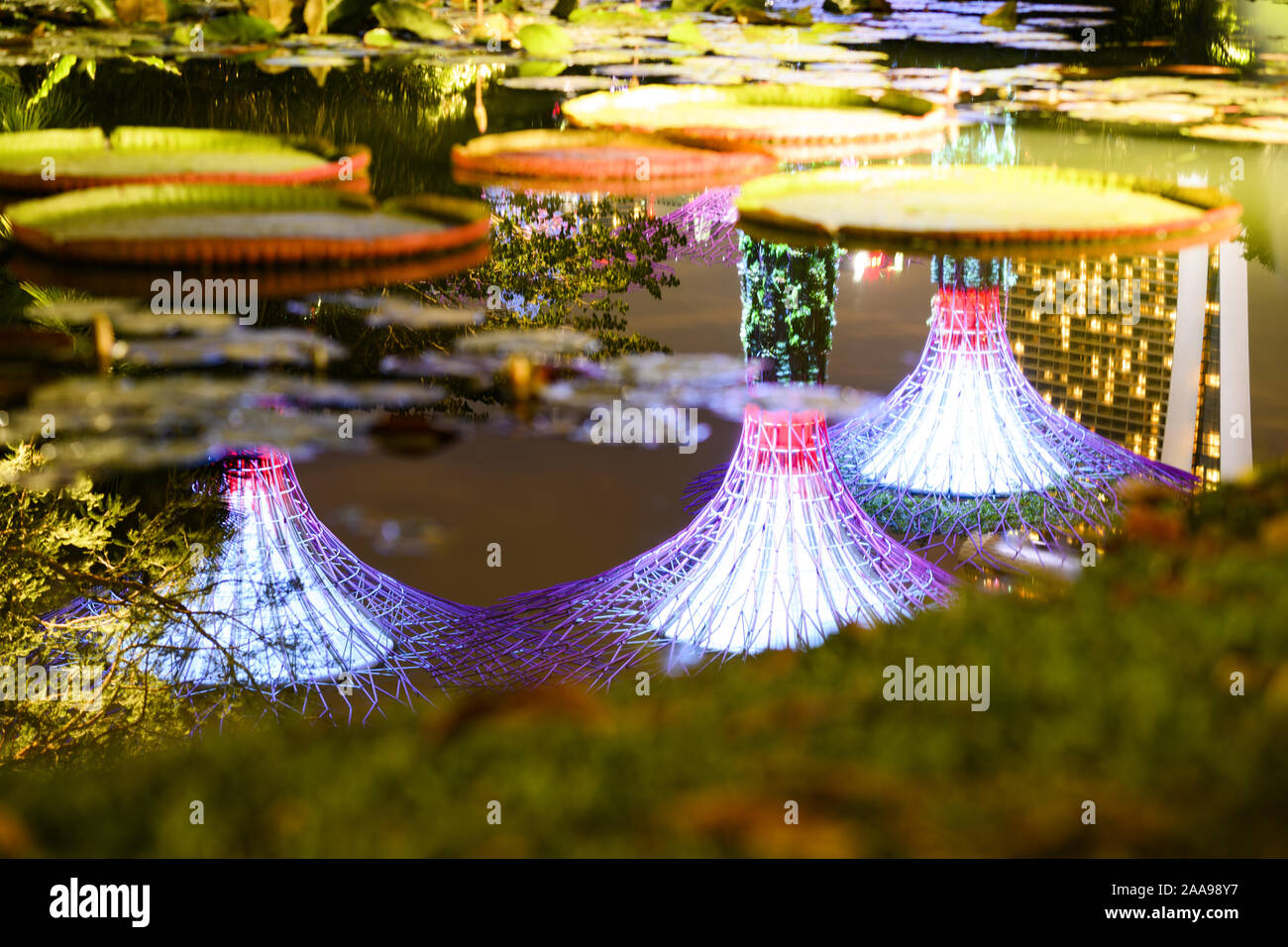 Singapur, 19. November 2019. (Selektive Fokus) Beleuchtete supertree Grove spiegelt sich auf einem Teich in Singapur. Stockfoto