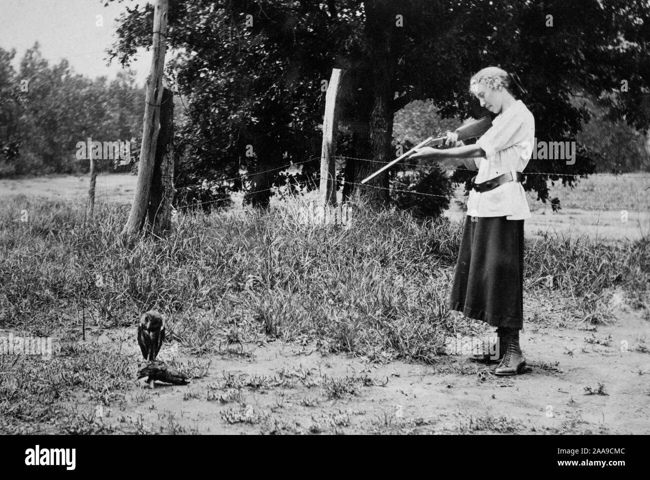 Eine kleine Schleiereule im Fadenkreuz einer Schrotflinte scheint auf geborgter Zeit, Ca. 1915. Stockfoto