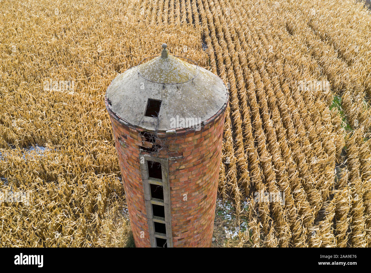 Illinois City, Illinois - Eine alte Backstein Silos steht mitten in einem Maisfeld. Stockfoto