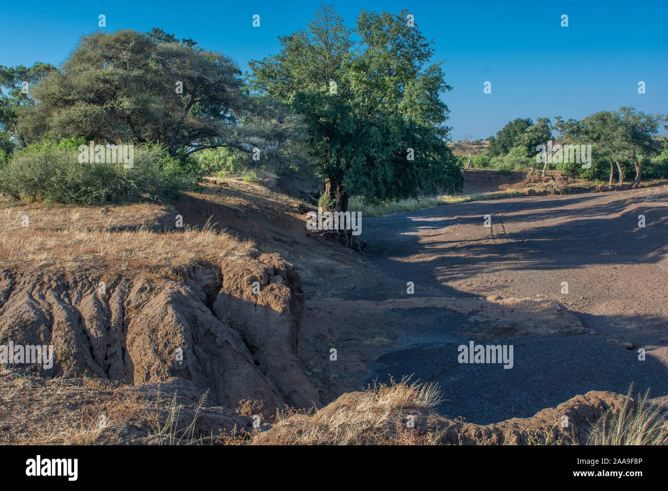 Trockenes Flussbett Stockfoto