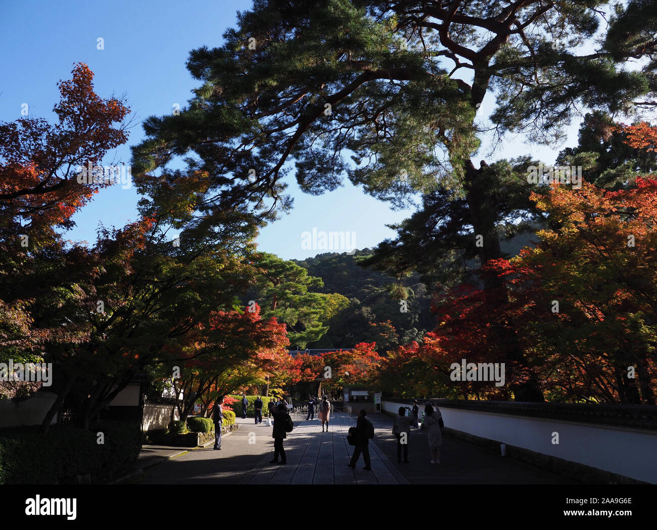 Herbst Laub und Farben in Eikan-do Zenrin-ji Tempel und Garten in Kyoto, Japan. Stockfoto