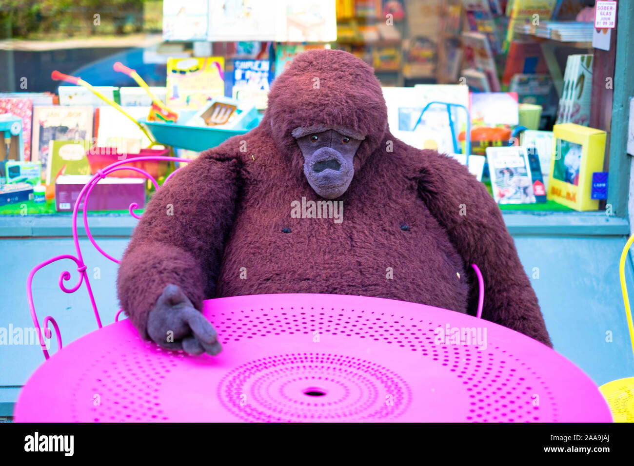 Ein Gorilla in einem rosa Tisch sitzen draußen auf der Straße eine Buchhandlung am Mariatorget, in der Nähe der Stadt Stockholm Stockfoto