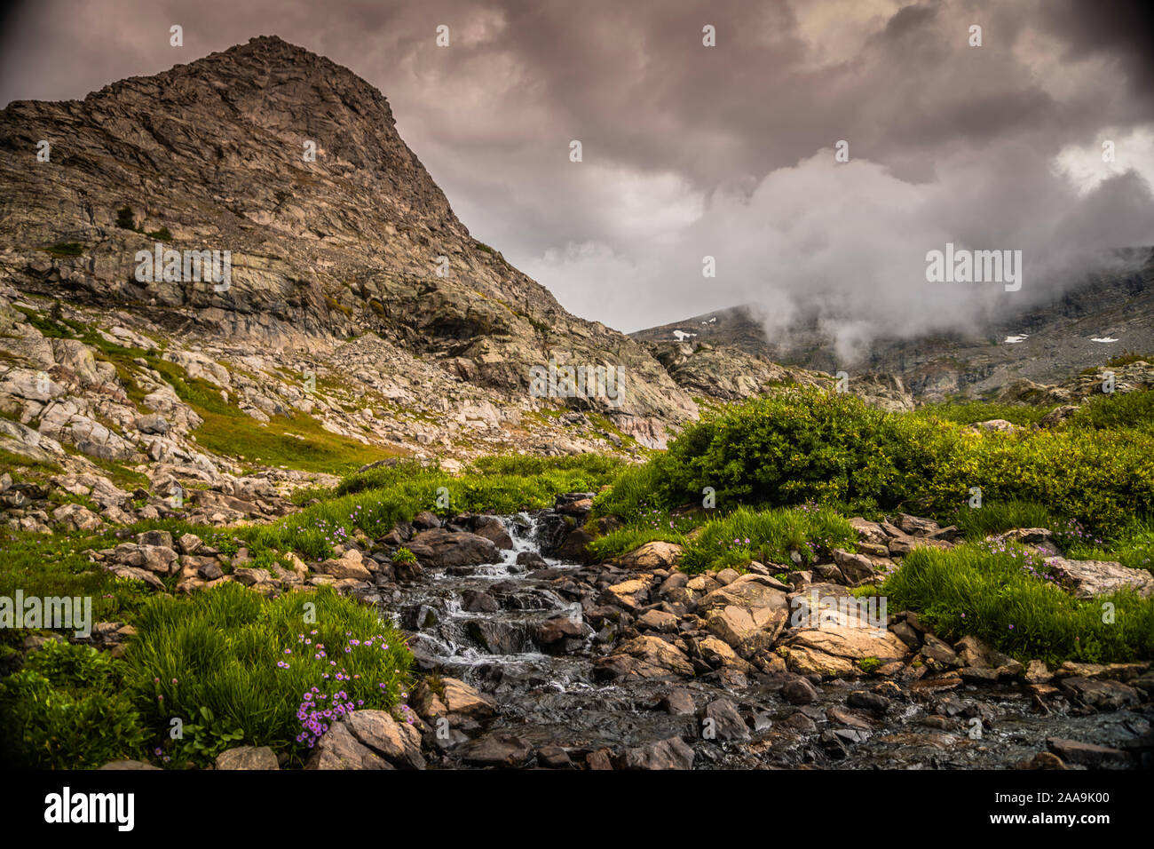 Colorado Wüste Stockfoto