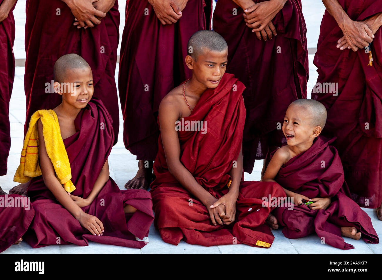 Novizen an der Shwedagon Pagode, Yangon, Myanmar. Stockfoto