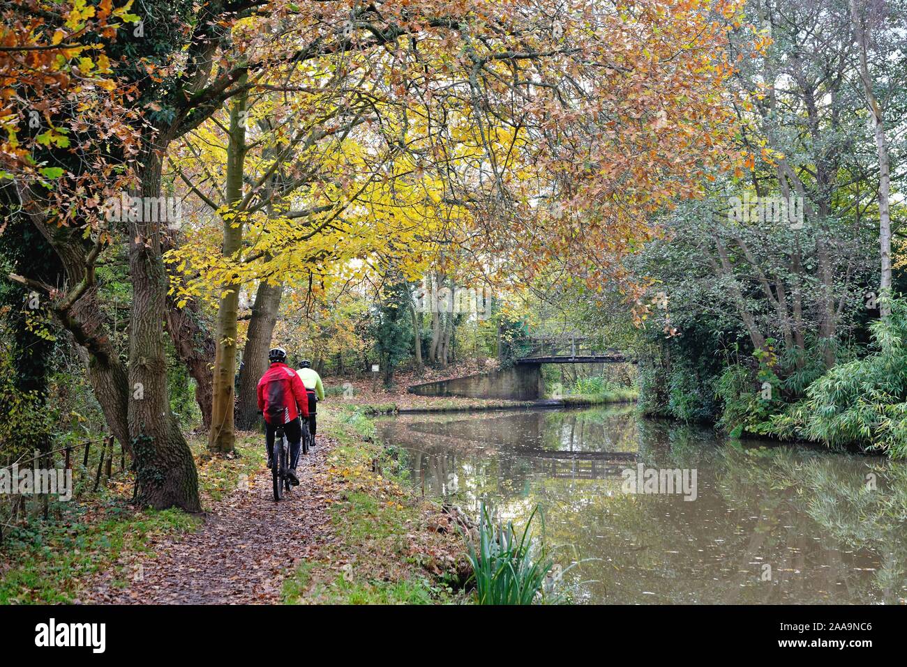 Zwei Radfahrer reiten auf dem leinpfad am Fluss Wey Navigation canal Byfleet zu einer farbenfrohen, herbstlichen Tag Surrey England Großbritannien Stockfoto