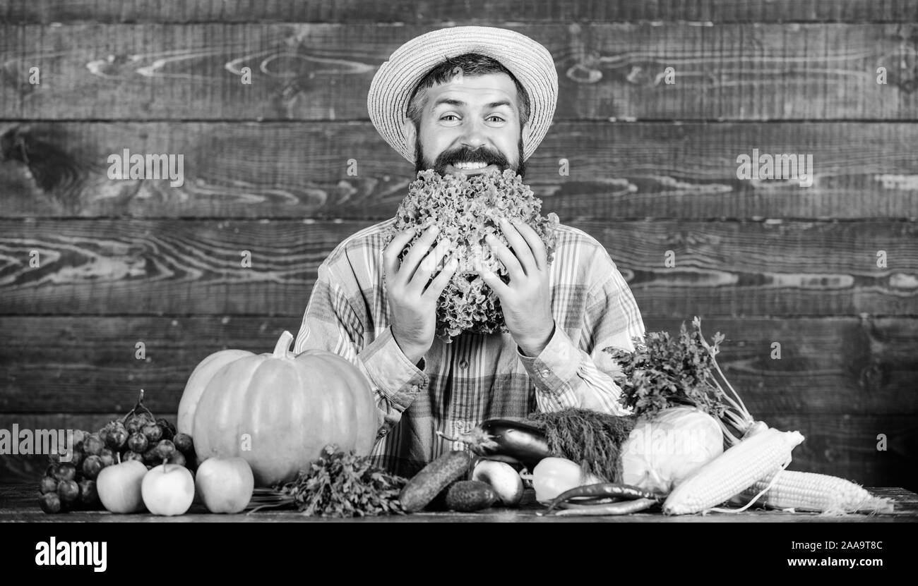 Dies sollte in Ordnung sein. organische und natürliche Lebensmittel. happy halloween. saisonale Vitamin essen. Nützliche Obst und Gemüse. Harvest Festival. man-Chef mit reichen Herbst Ernte. bärtigen reife Landwirt. Stockfoto