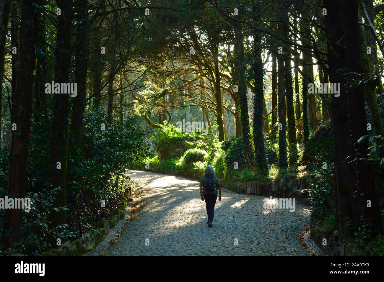 Wald Der Naturpark Sintra-Cascais, einem UNESCO-Weltkulturerbe. Portugal (MR) Stockfoto