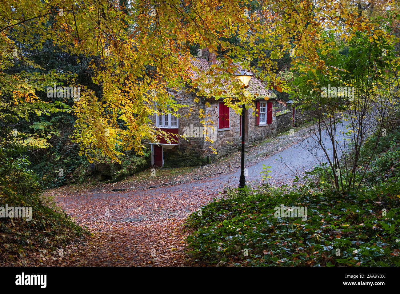 Stone Cottage im Herbst Wald in der Nähe von Quarryheads Lane in Durham Stockfoto