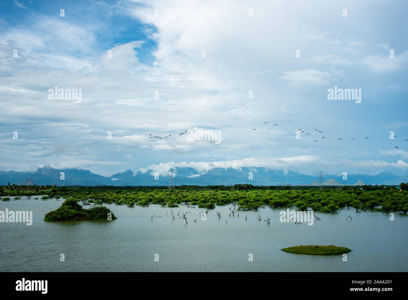 Bei monsoonscapes Koonthakulam Vogelschutzgebiet Stockfoto