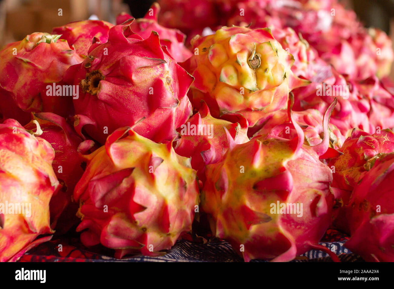 Raw Pitaya in Farm oder Supermarkt. Dragon Früchte. Stockfoto