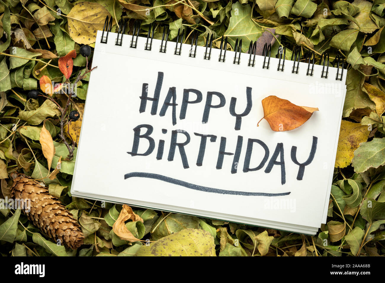 Alles Gute zum Geburtstag Greeting Card im Herbst Stil - Handschrift in einem Skizzenbuch gegen den Hintergrund der trockene Blätter, Kegel und Beeren Stockfoto