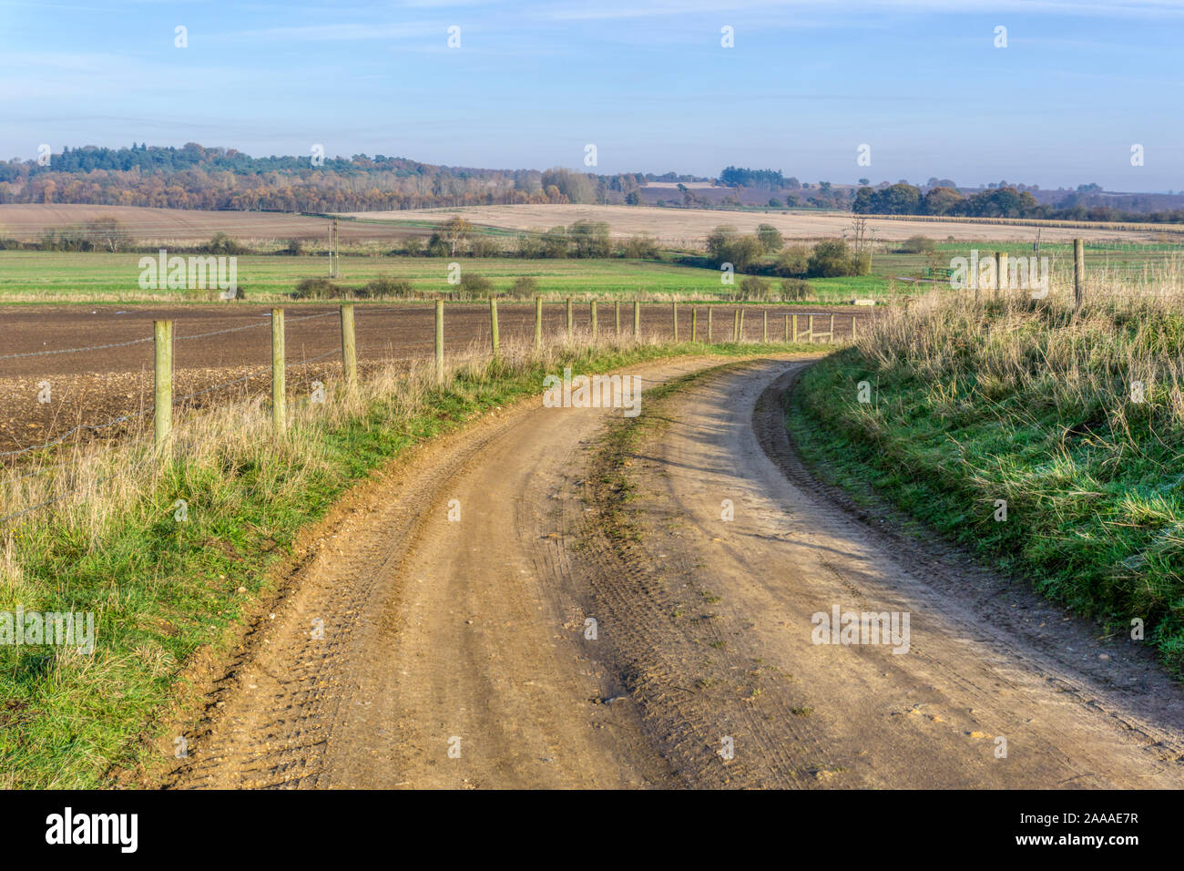 Einen Feldweg durch Ackerland in West Norfolk. Stockfoto