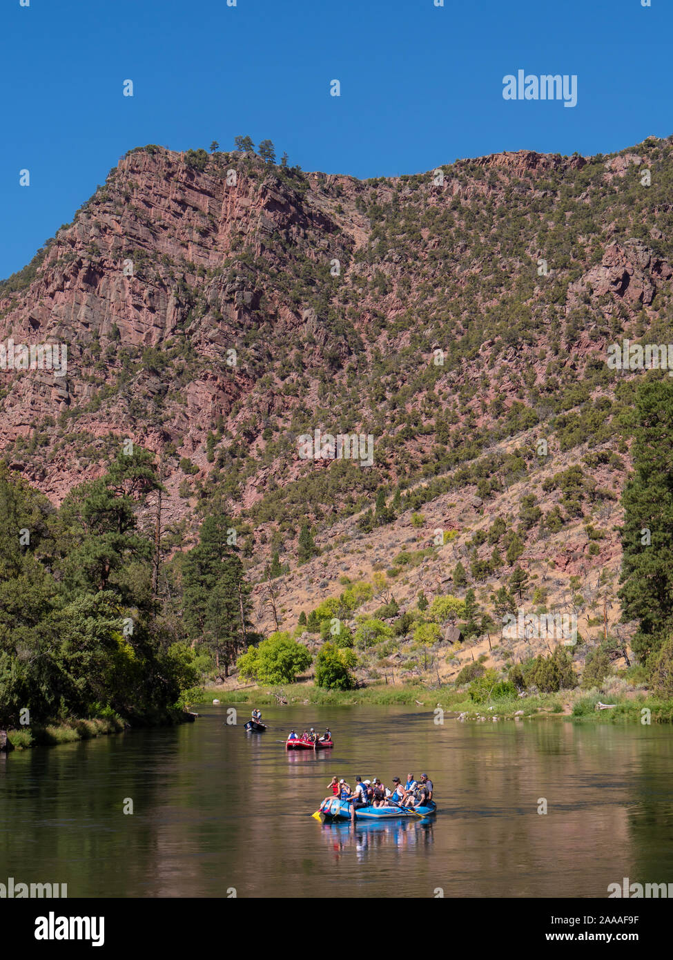 Felsen, Fluss und Flöße, Green River, kleines Loch Trail, National Forest, Flaming Gorge National Recreation Area in der Nähe von Dutch John, Utah. Stockfoto