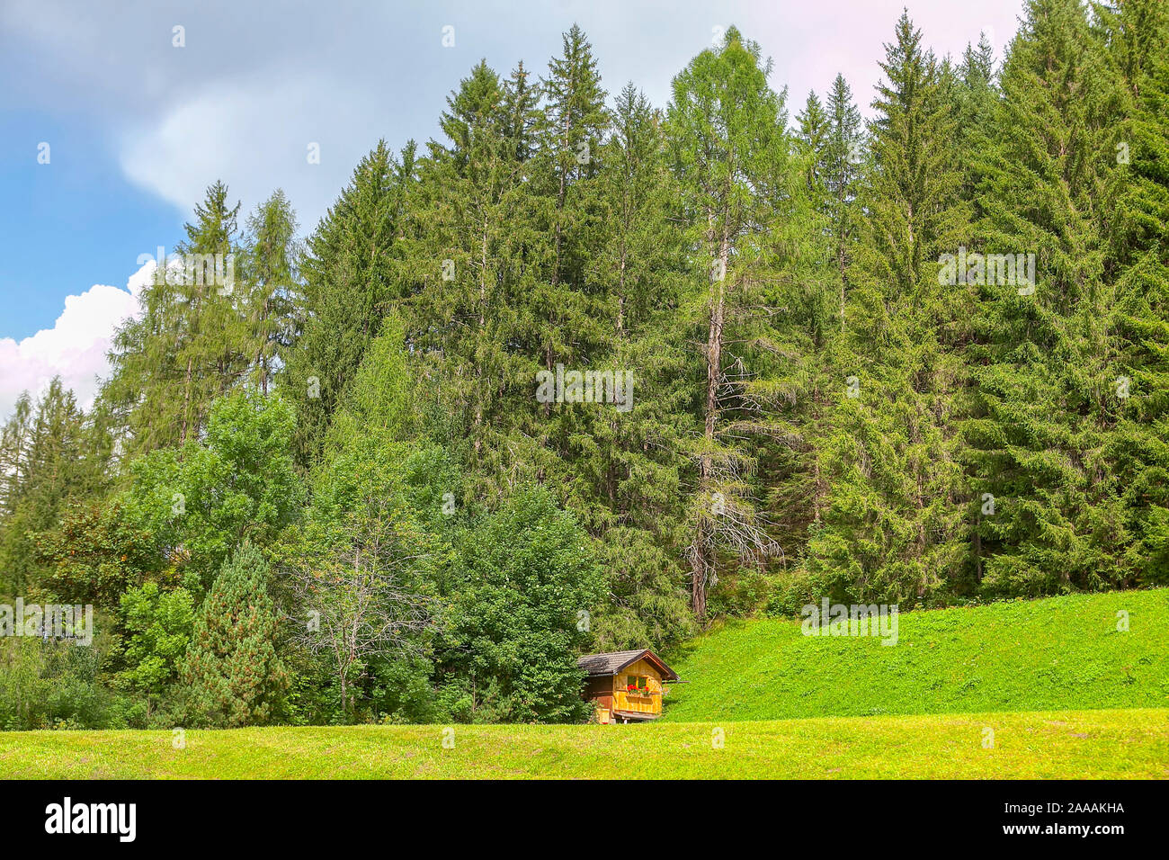 Hütte in den Nadelwald anmelden Stockfoto