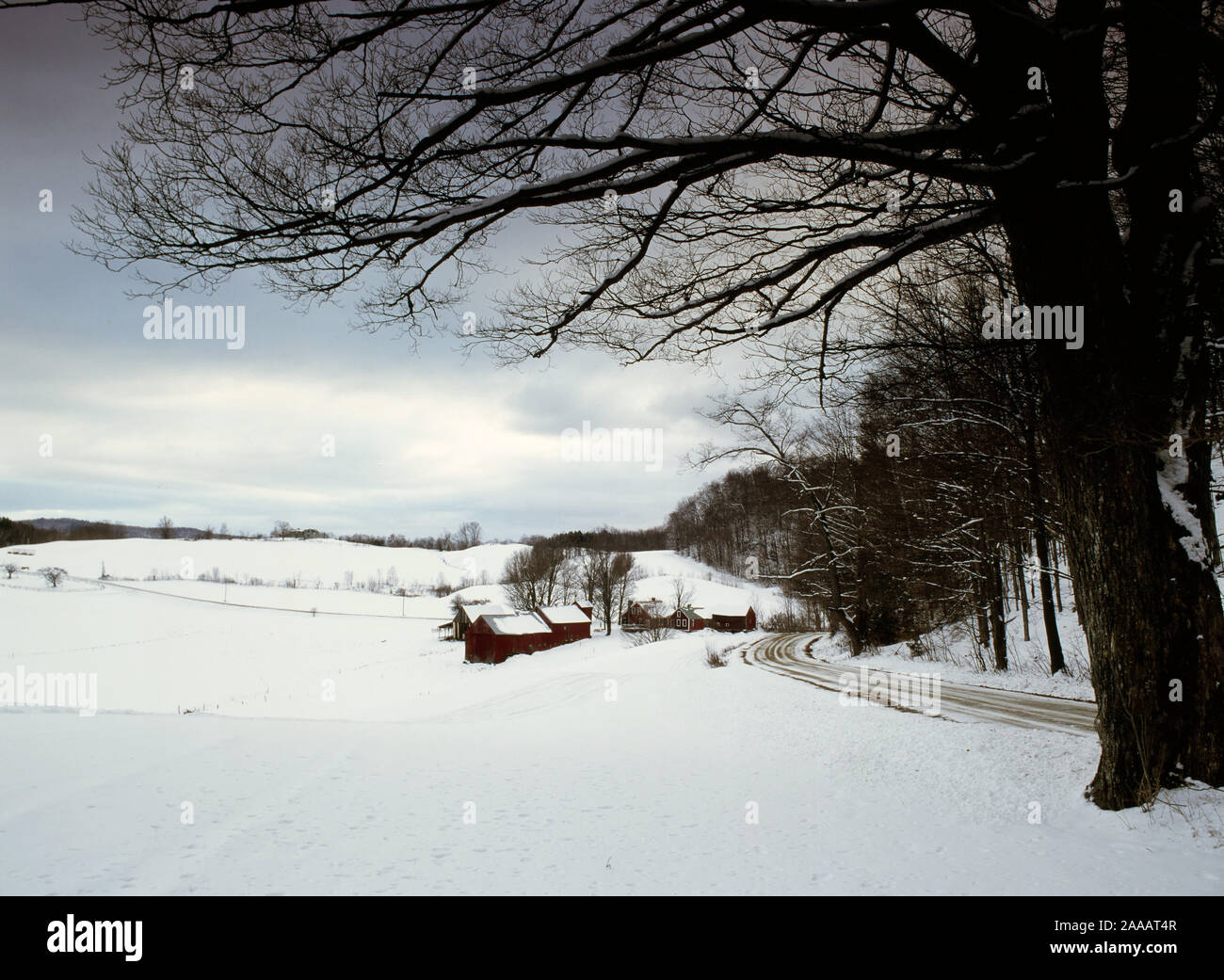 Jenne Bauernhof im Winter - Vermont Stockfoto
