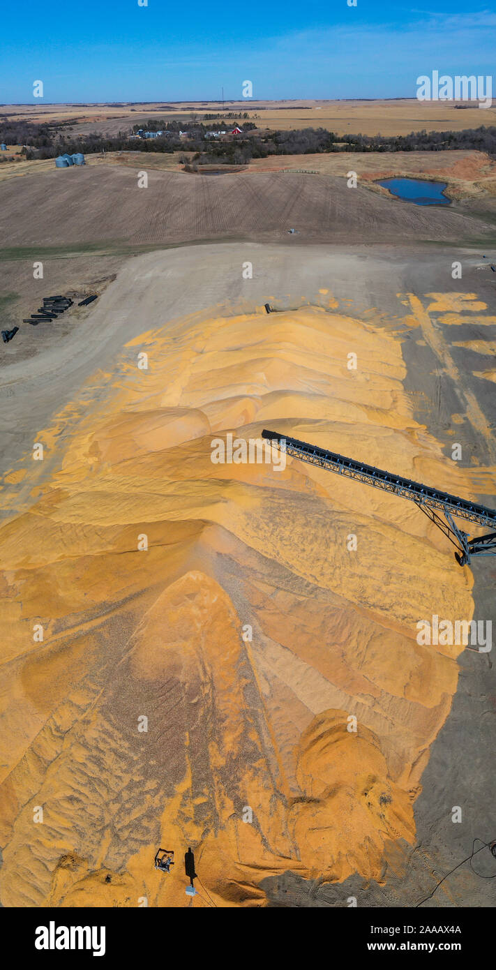Campbell, Nebraska - Mais ist vorübergehend auf dem Boden gelagert. Stockfoto
