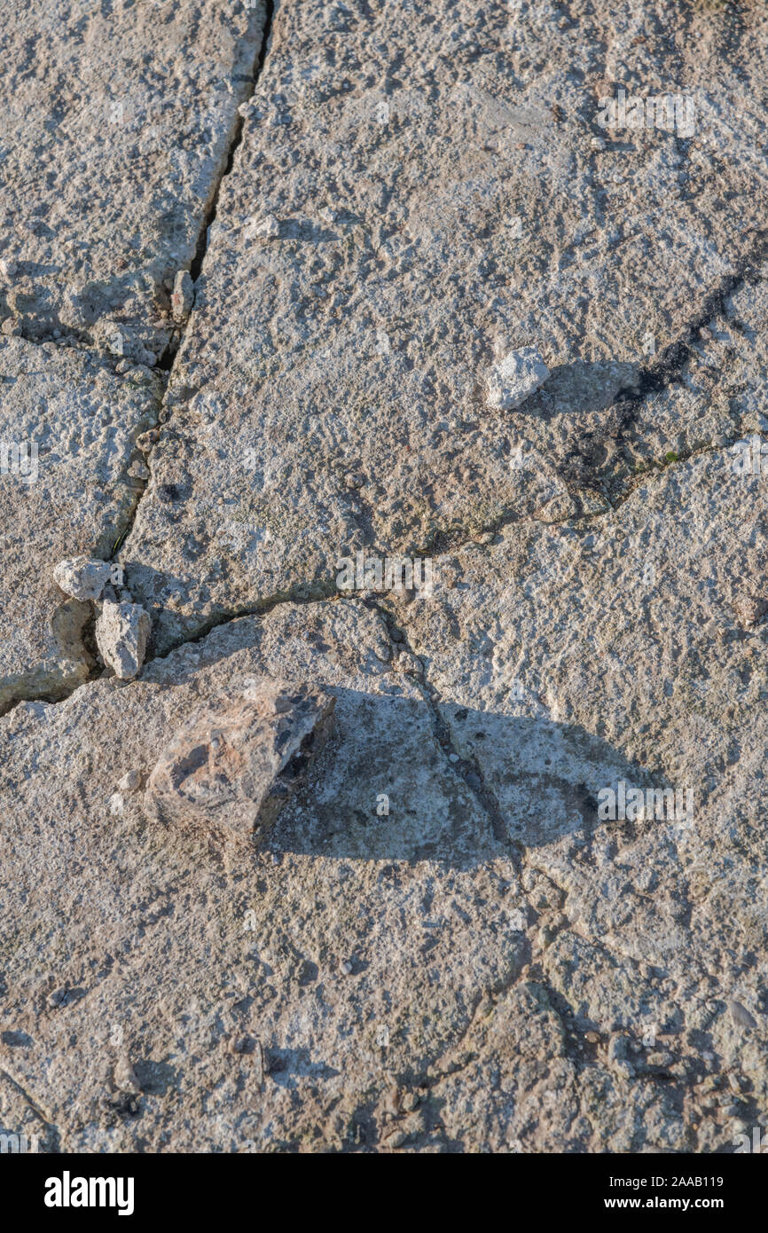 Risse im rauhen Cement Oberfläche mit Winter Sonne Schatten auf Spalten. Metapher Risse erscheinen, gebrochen, Infrastruktur, holperig, Zement Textur. Stockfoto