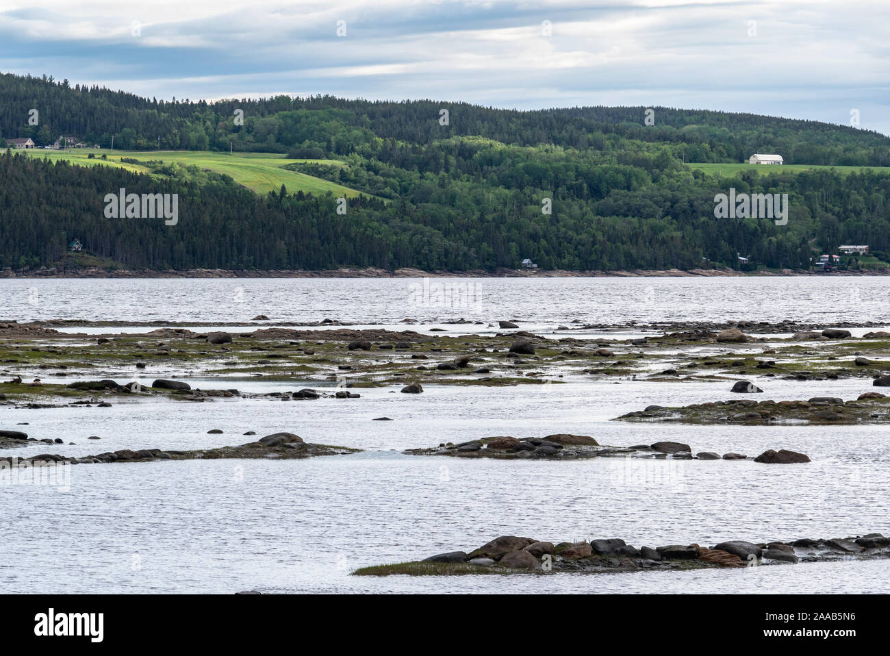 Saguenay Fjord bei Ebbe mit grünen Hügel in der Ferne. Stockfoto