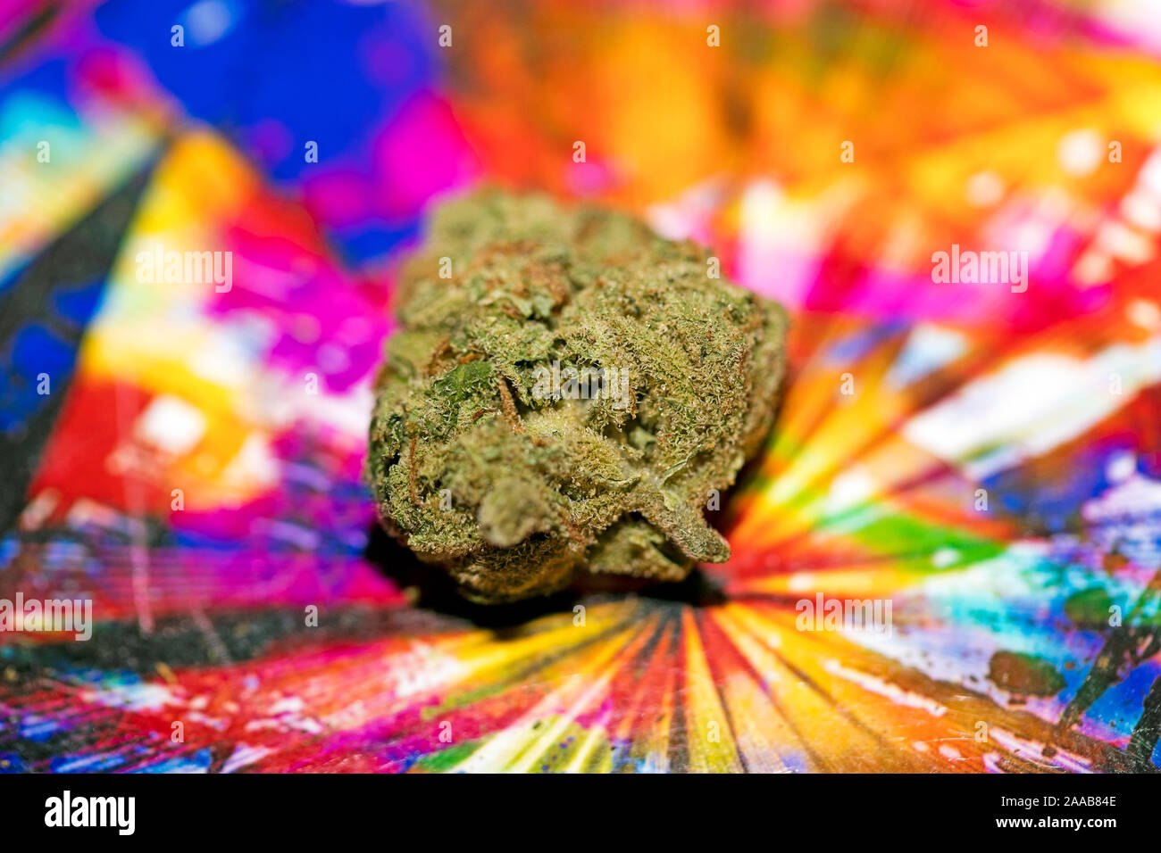 Marihuana in bunten Hintergrund design Makro super Lemon Haze 50 Megapixel Stockfoto