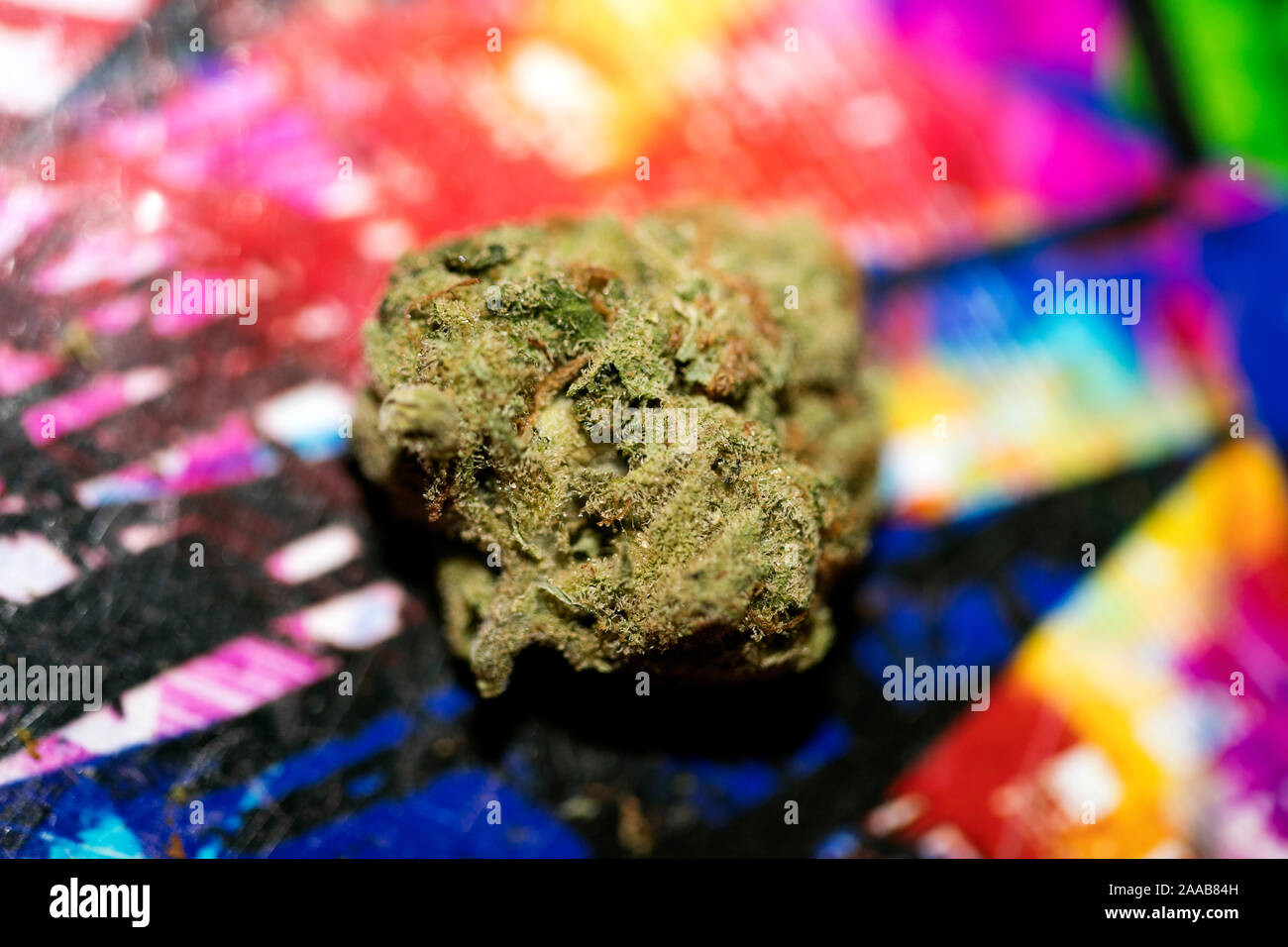 Marihuana in bunten Hintergrund design Makro super Lemon Haze 50 Megapixel Stockfoto