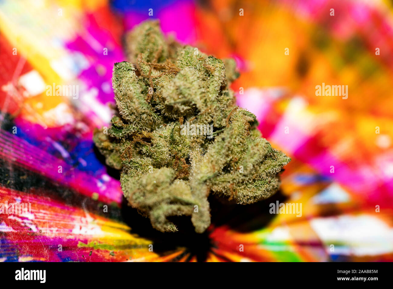 Marihuana in bunten Hintergrund design Makro super Lemon Haze 50 Megapixel Stockfoto