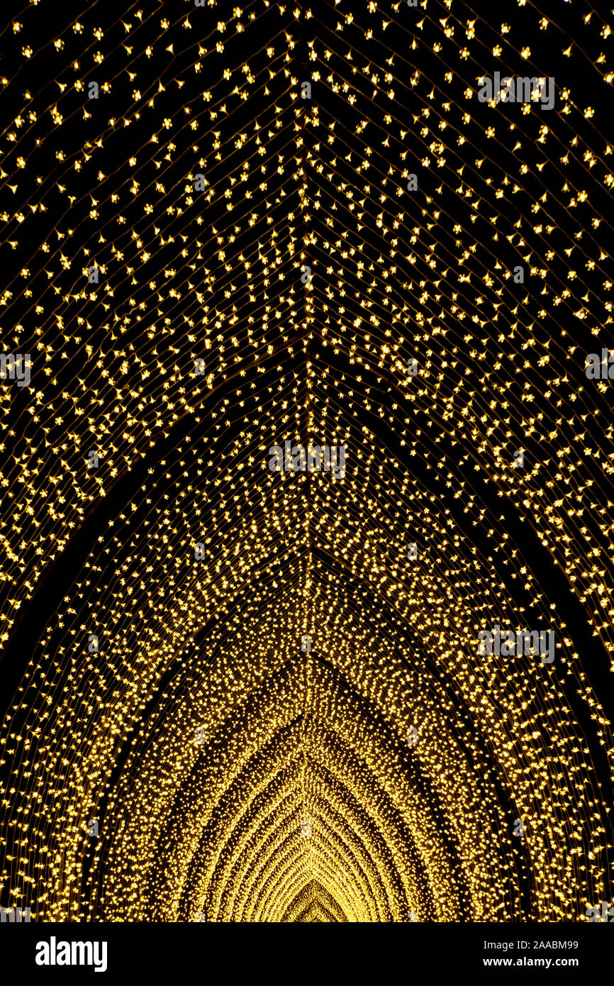 LONDON, ENGLAND, Großbritannien - 04 Januar 2019: Weihnachtsbeleuchtung Anzeige in der Nacht in Kew Royal Botanic Gardens, London, UK Stockfoto