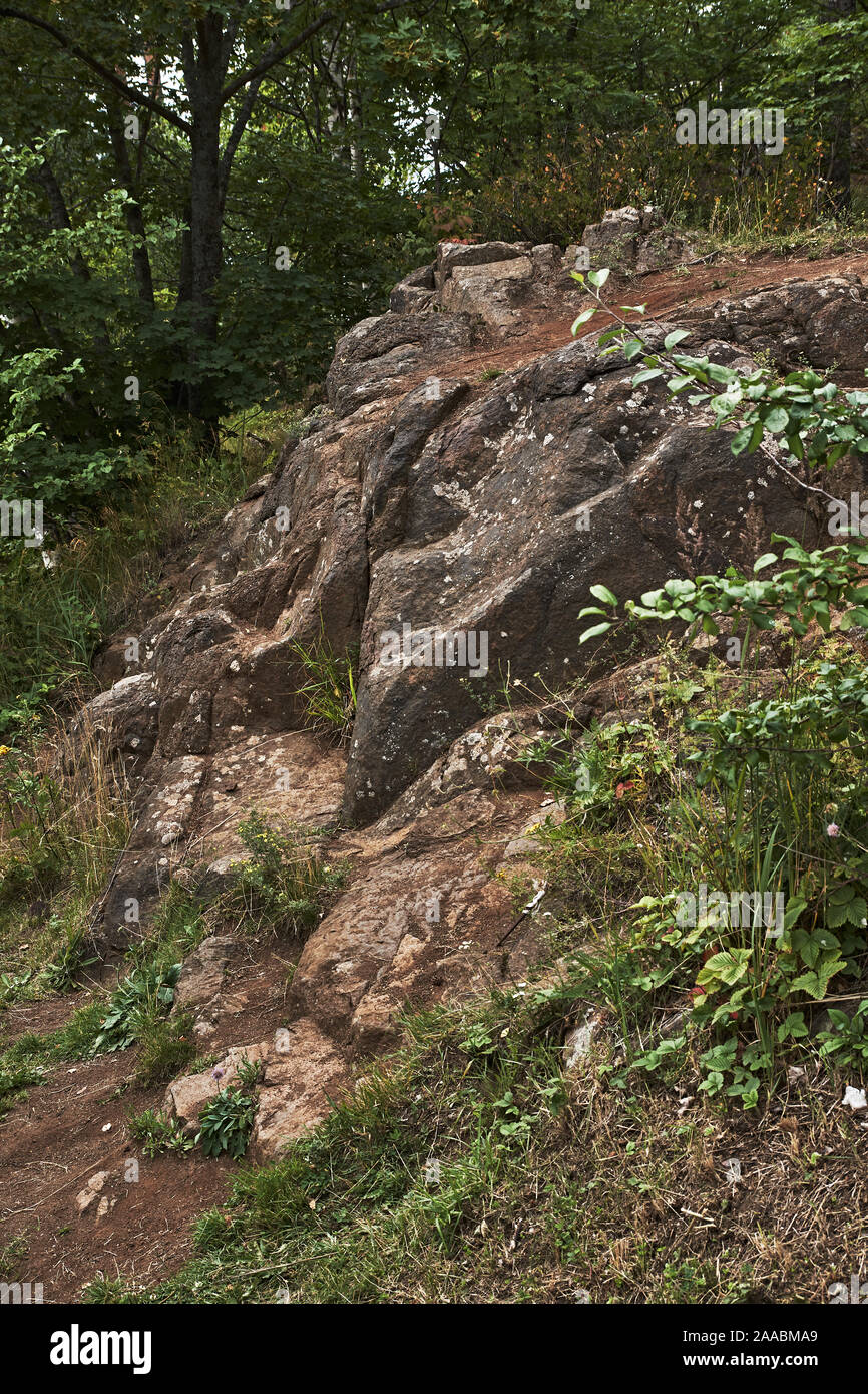 Auf der felsigen Insel Walaam, Baumwurzeln klammern sich an die Steine der Stamm zu halten. Einige Wurzeln aus dem Boden. Russland, Karelien. Bäume durch wachsende Stockfoto