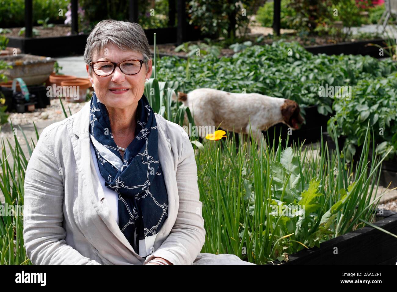 Lady Delia Thornton in Ihrem Gemüsegarten. Stockfoto