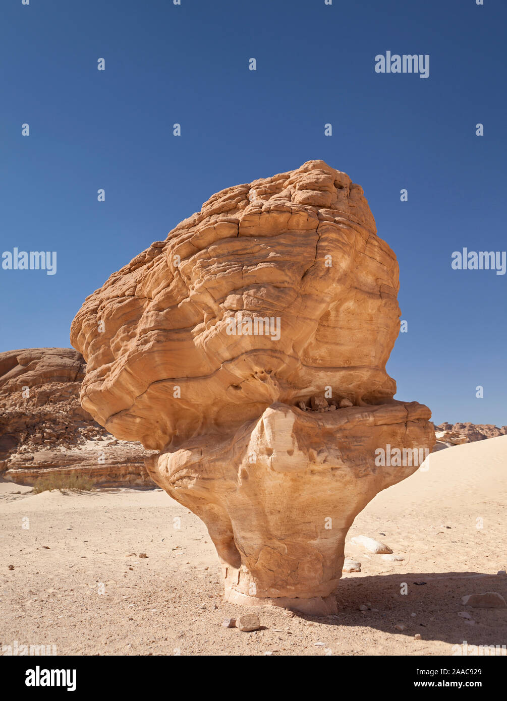 Ein pilzförmiger Felsen in der Wüste Sinai, Ägypten Stockfoto