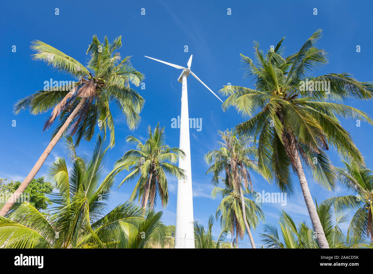 Windturbine, umgeben von Palmen, Thailand Stockfoto