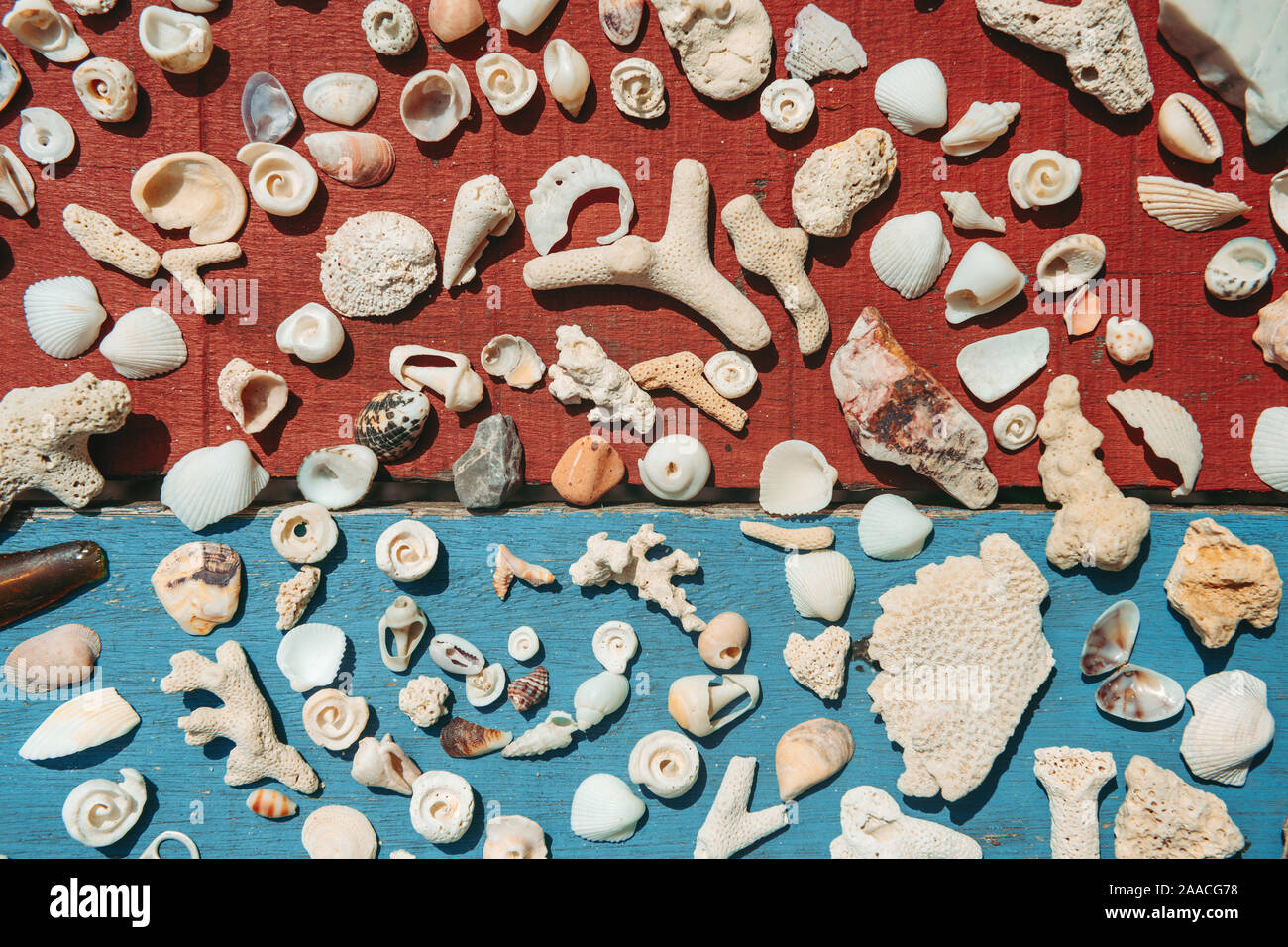 Marine Zusammensetzung mit verschiedenen Muscheln auf bunten Holz- Oberfläche Stockfoto