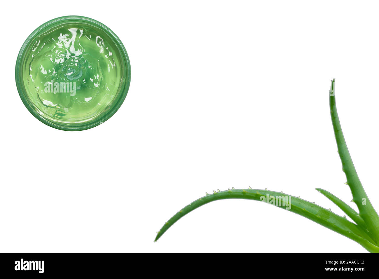 Aloe Vera Gel im Kreis auf weißem Hintergrund isoliert, Ansicht von oben. Flach mit Aloe Blätter. Platz für Text Stockfoto