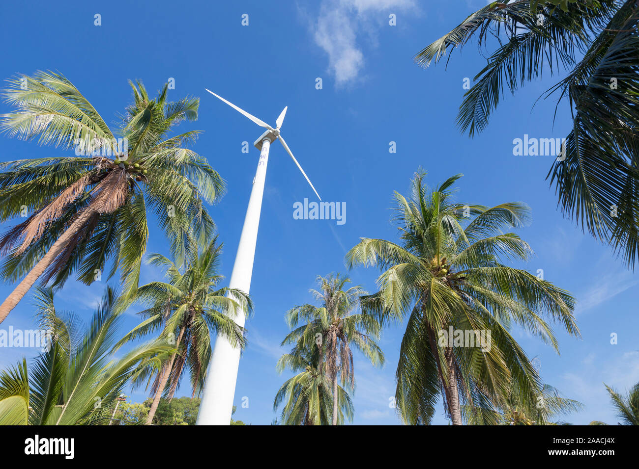 Windturbine, umgeben von Palmen, Thailand Stockfoto