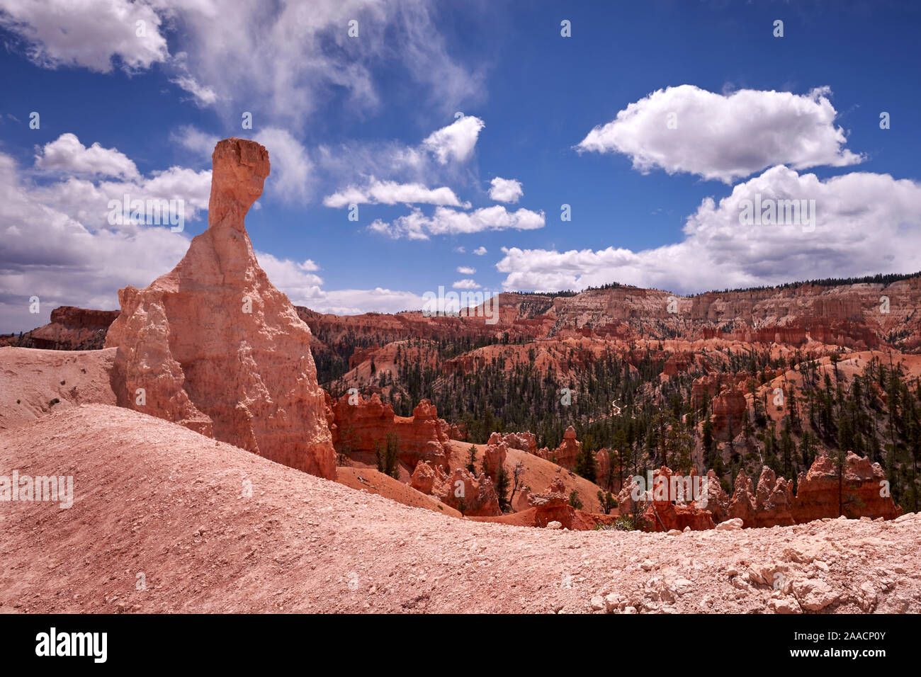 Hoodoos im Bryce-Canyon-Nationalpark, Utah, USA Stockfoto