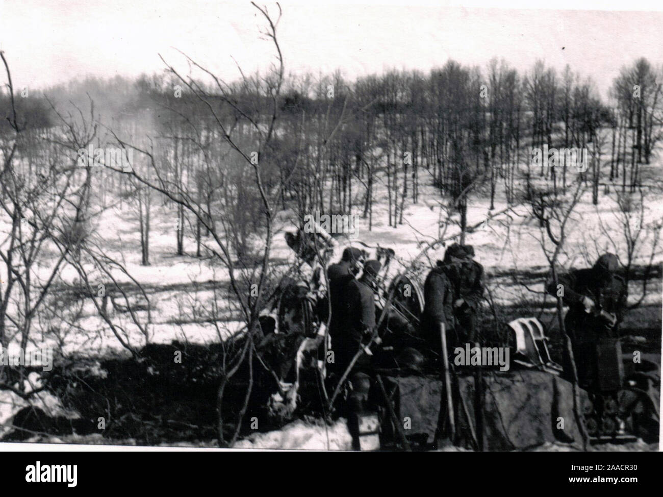 Deutsche Soldaten feuern eine leichte Artillerie auf die Russische Front 1941. 2. Weltkrieg s/w Foto aus deutscher Herkunft. Stockfoto