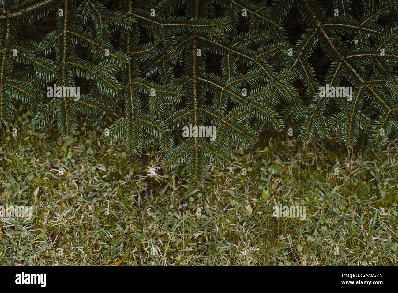 Sintra, Portugal Stockfoto