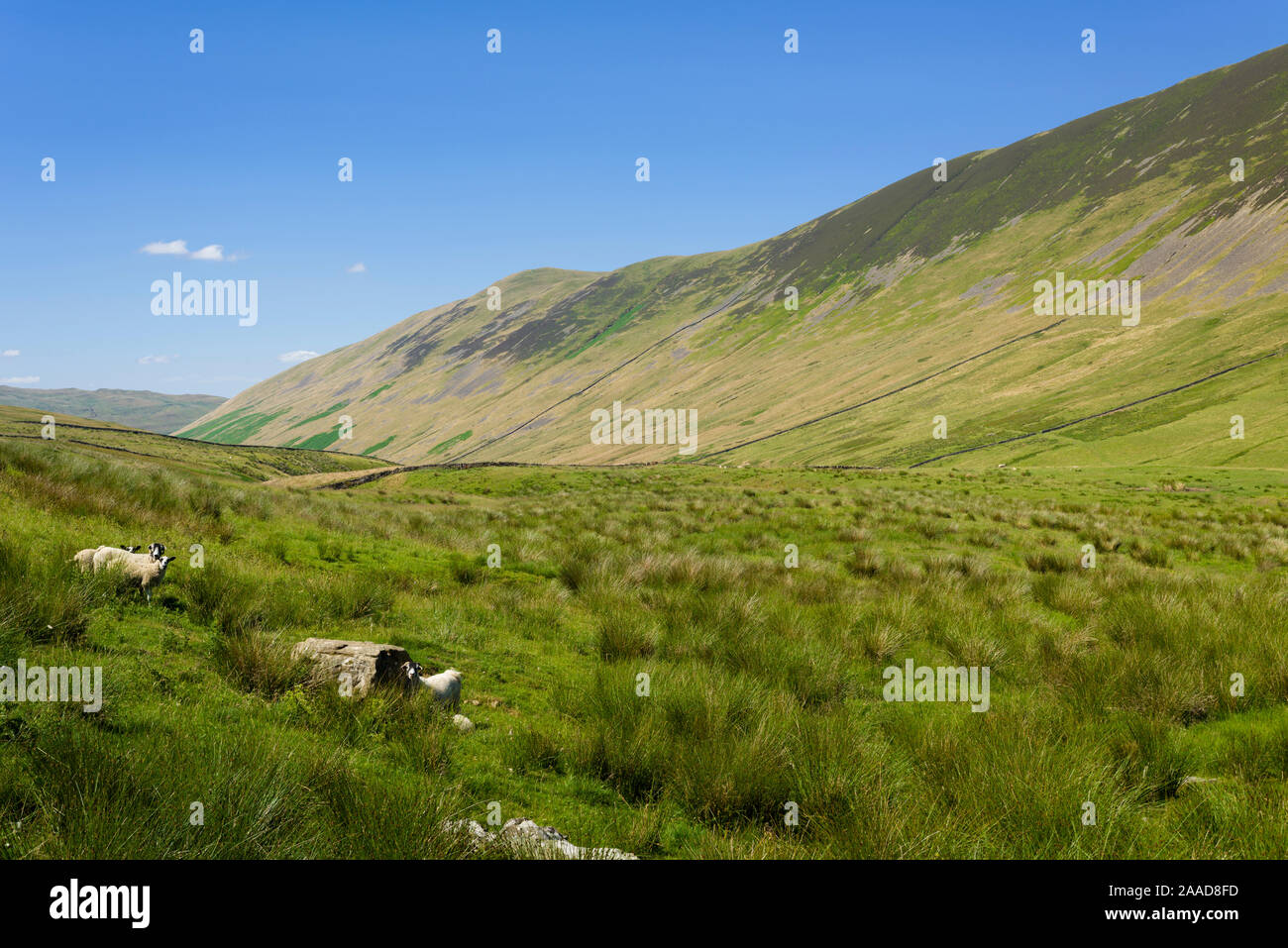 Middleton fiel gesehen von Beruf Straße in den Yorkshire Dales National Park, Cumbria, England. Stockfoto