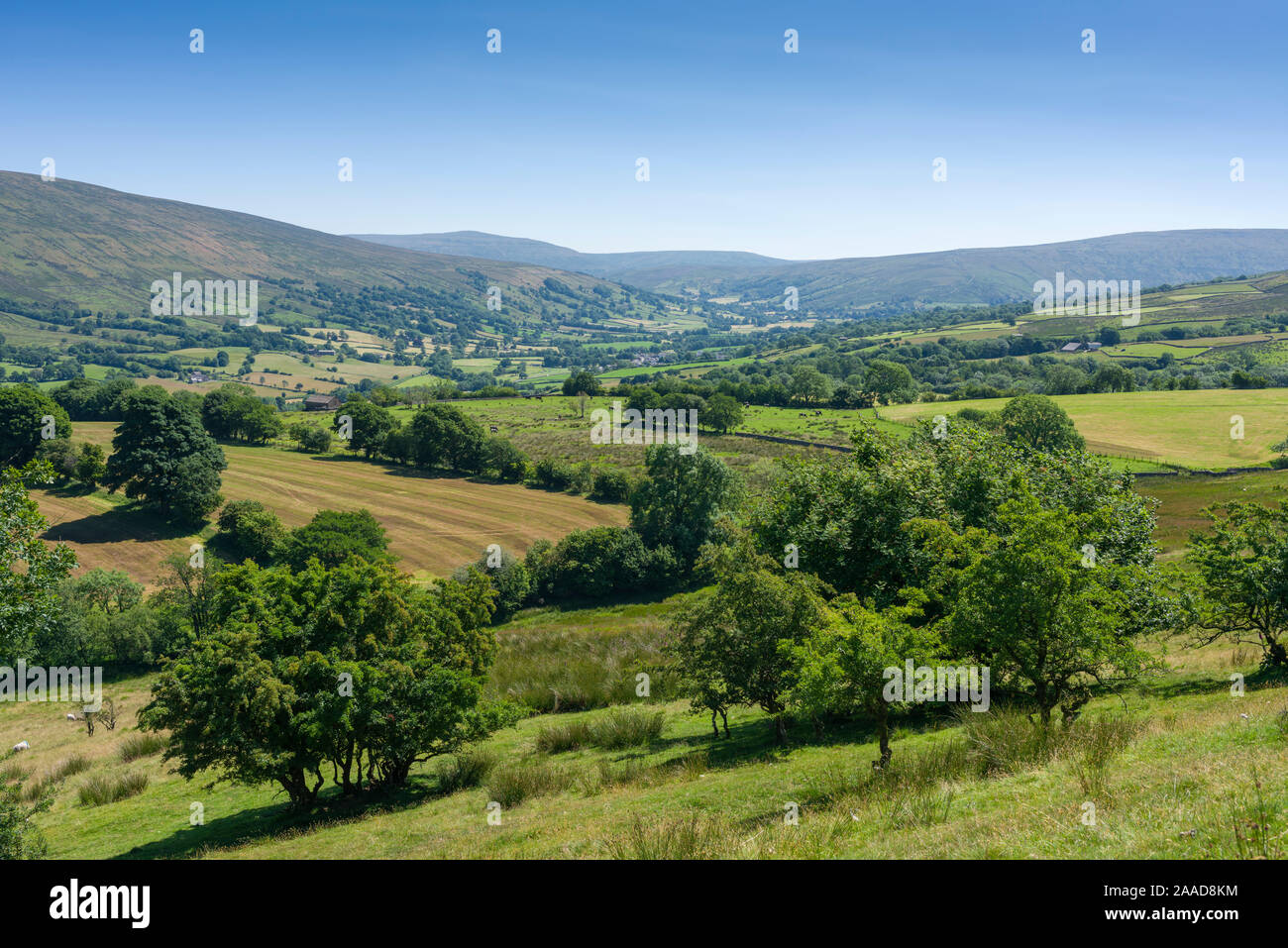 Der Blick über Dentdale in den Yorkshire Dales National Park, Cumbria, England. Stockfoto