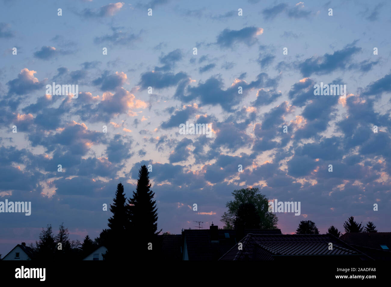 Wolkenformation Altocumulus floccus Stockfoto