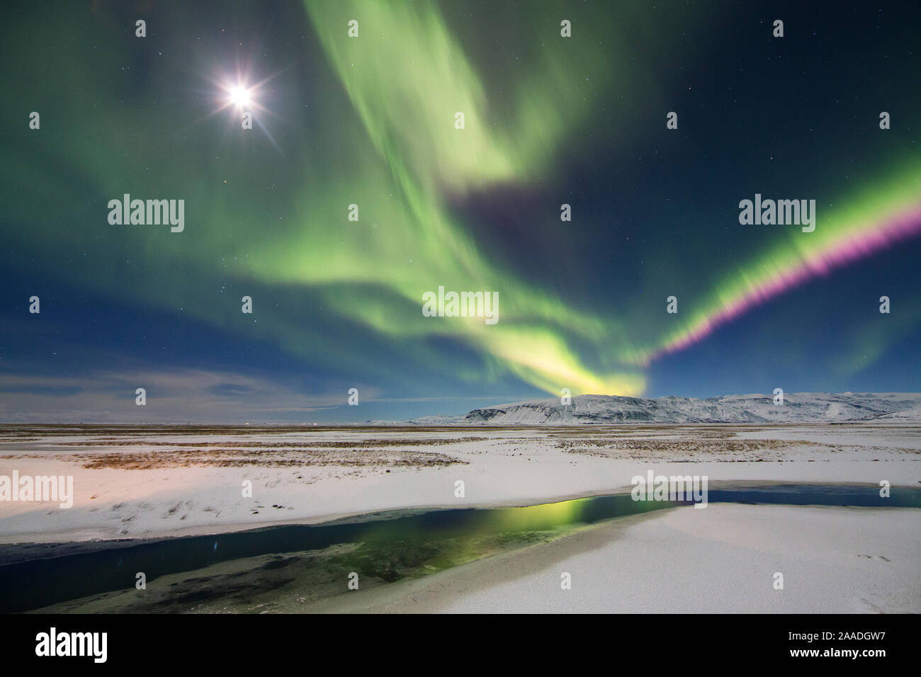 Nordlichter (Aurora Borealis) über Hornafjördur, Ost Island, Februar 2016. Stockfoto