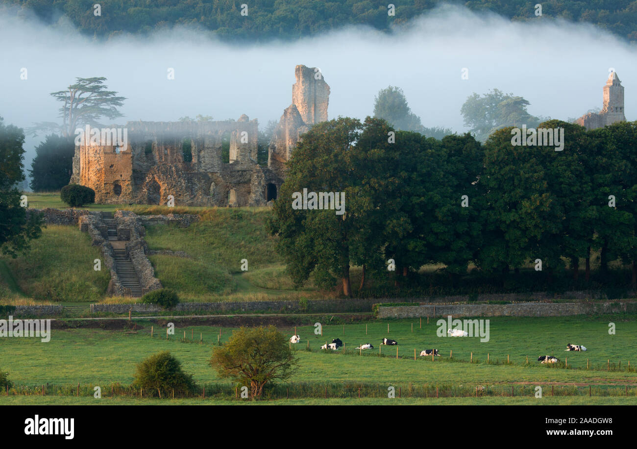 Alte Sherborne Castle, Sherborne, Dorset, England, UK, August. Stockfoto