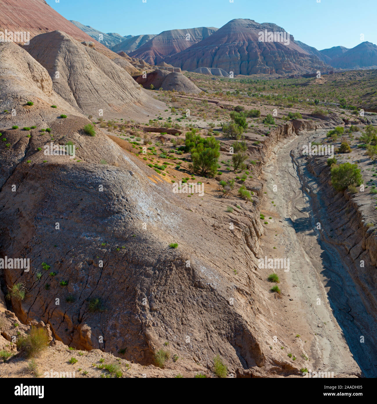 Altyn Emel Nationalpark. Kasachstan. Stockfoto