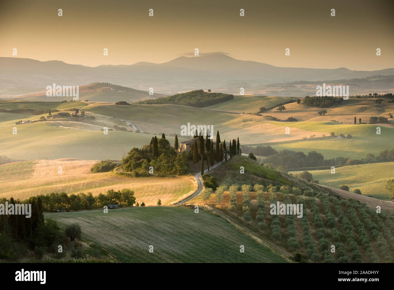 Typische Landschaft in der Toskana, mit dem Bauernhaus "Belvedere" in der Nähe von San Quirico d'Orcia, Italien, Juni. Stockfoto