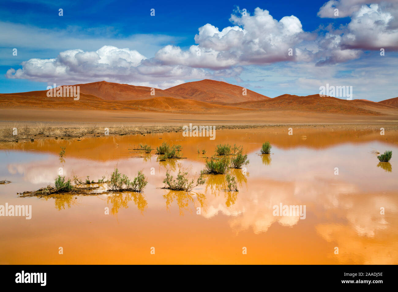 Neue Regen bilden temporäre Pool, Sossusvlei, Namib-Naukluft-Nationalpark, Namib, Namibia, März 2017. Stockfoto