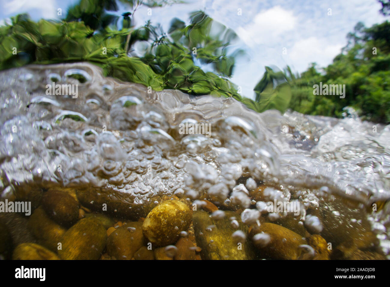 Unterwasseransicht des Sungai Melinau Fluss, Gunung Mulu National Park, Sarawak, Borneo, Malaysia. Für die Süßwasser-Projekt fotografiert. Stockfoto