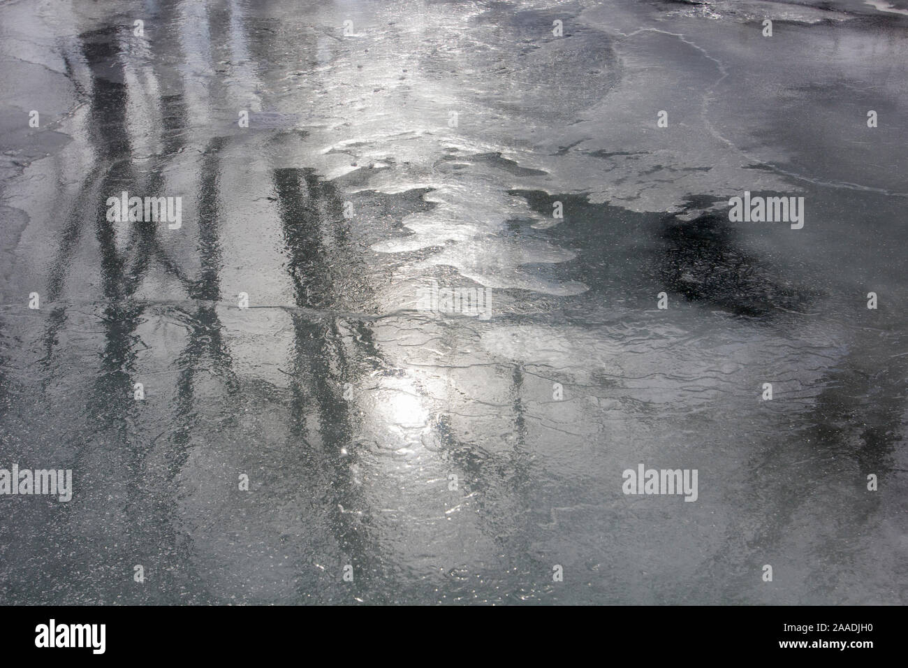 Motelon Creek im Winter gefroren, Jogne Fluss Nebenfluss, Saane Fluss Nebenfluss, Greyerzer, Fribourg, Schweiz, Februar 2012. Für die Süßwasser-Projekt fotografiert. Stockfoto