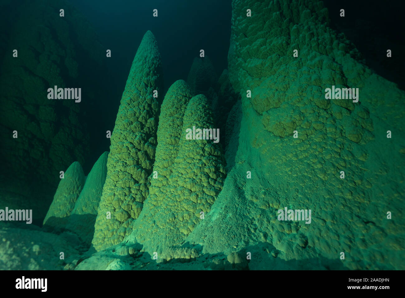 Anhumas Abgrund, einem 72 Meter tiefen Höhle mit Unterwasser Kalkstein Kegel bis zu 20 Meter hohe, Bonito, Serra da Bodoquena Bodoquena (Gebirge), Mato Grosso del Sul, Brasilien November 2016. Für die Süßwasser-Projekt fotografiert. Stockfoto