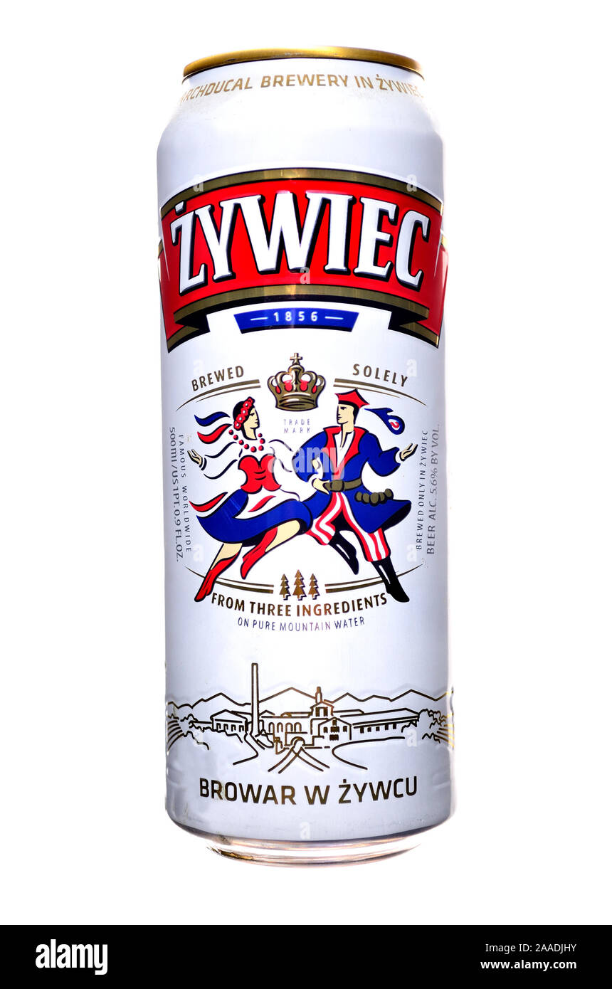 Polnisches Bier kann - Zywiec Bier Stockfoto